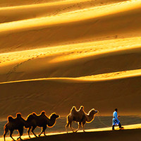 South-xinjiang-desert.jpg